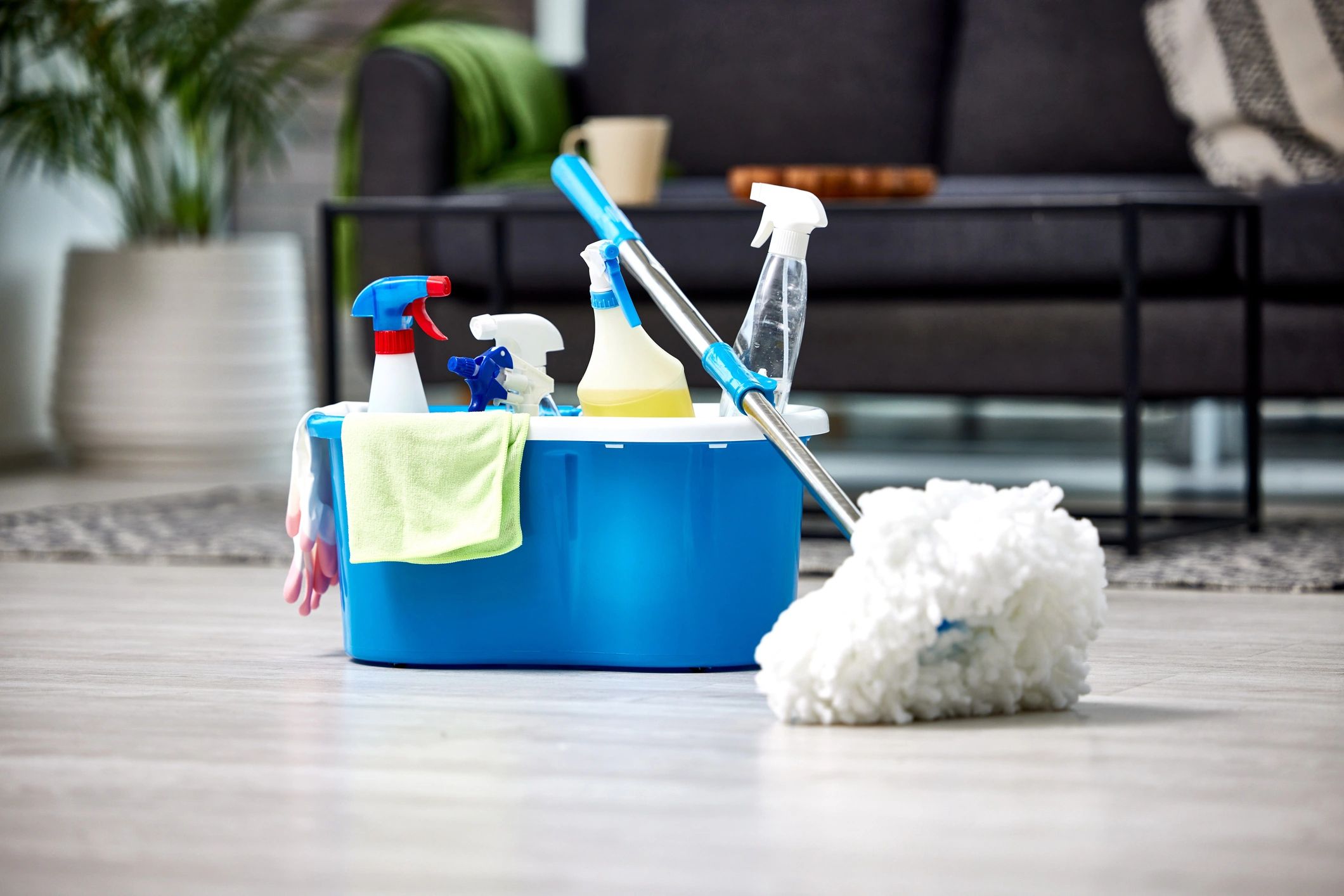 Bucket of cleaning supplies arranged neatly